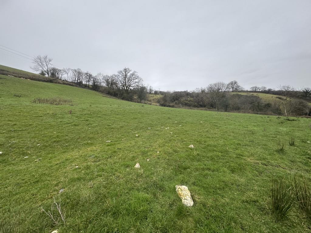The agricultural land