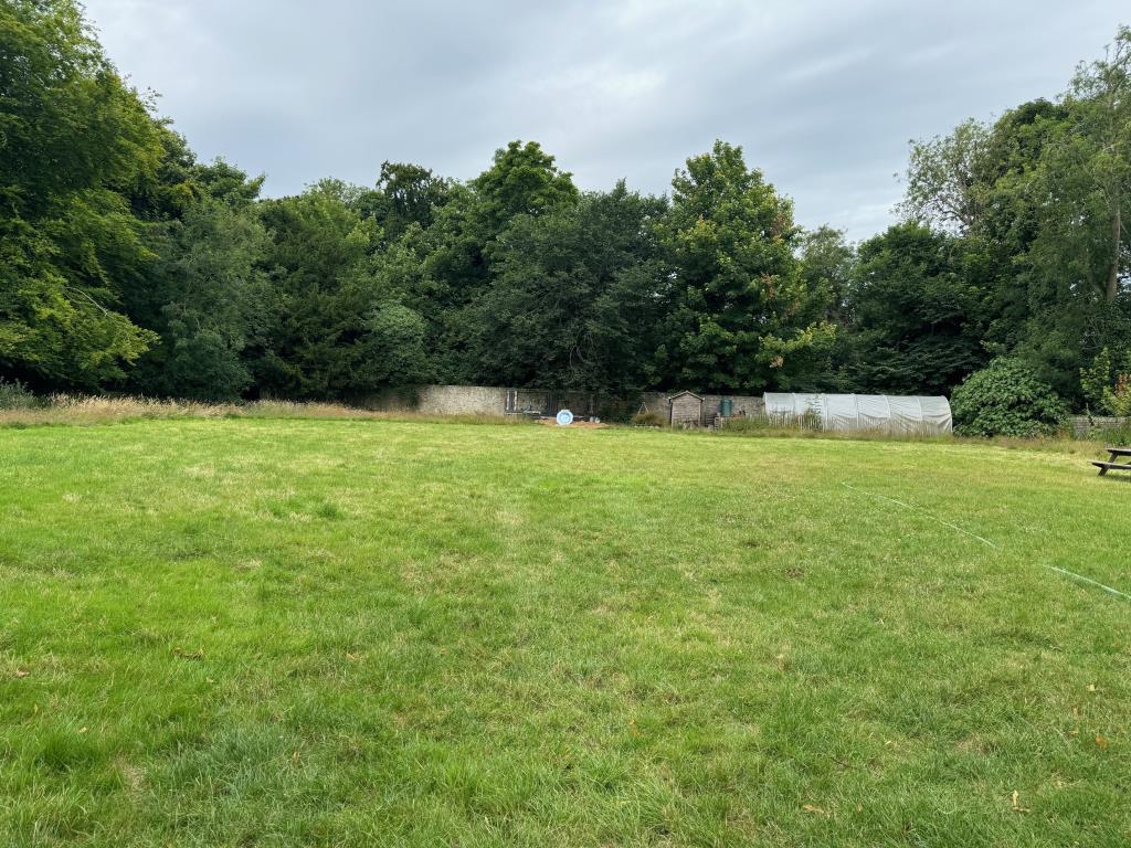 The top field