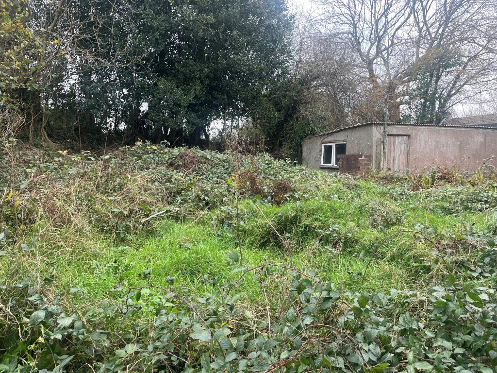 Overgrown rear garden