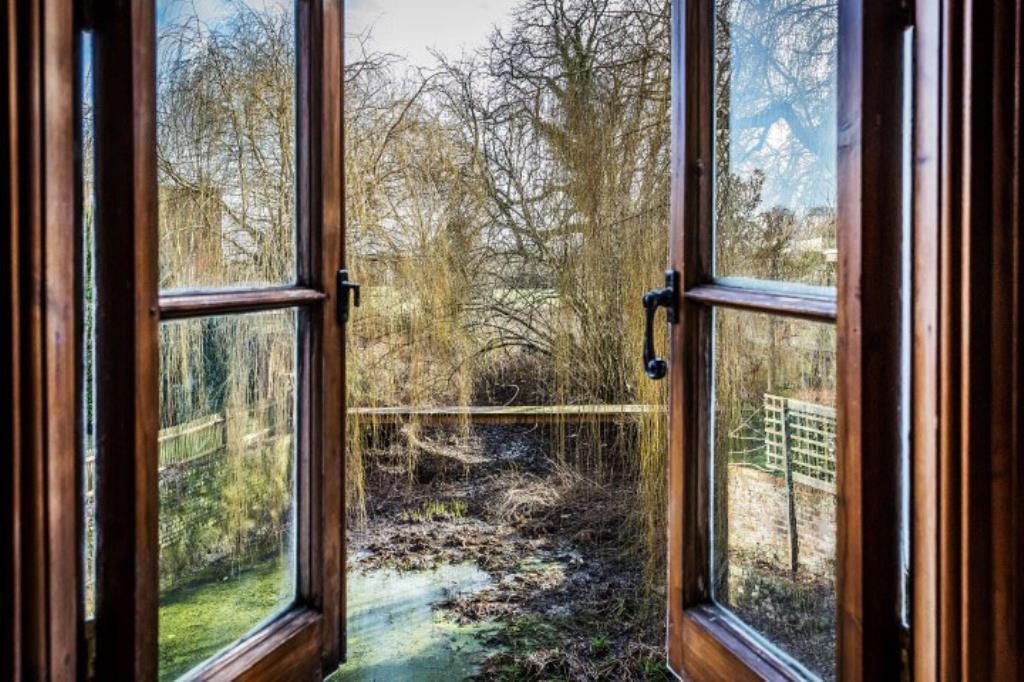 Window
