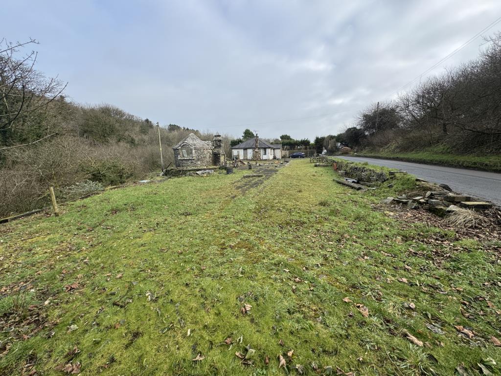 General view of the plot