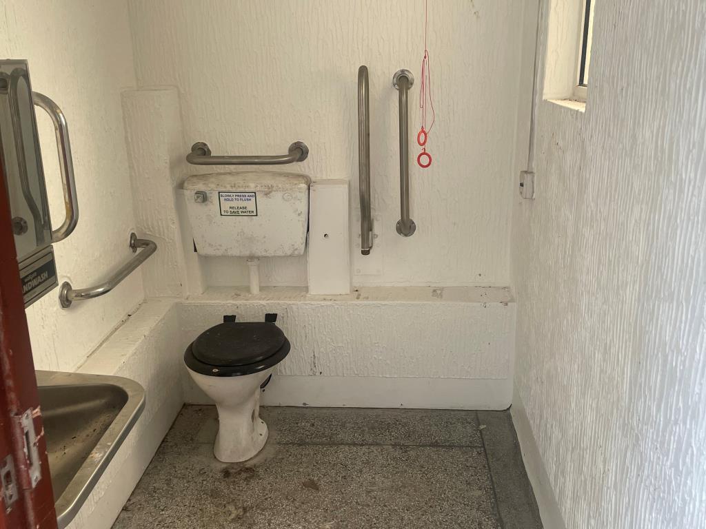 Accessible toilet cubicle with toilets and wash ba