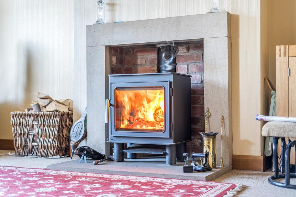 Feature Fireplace