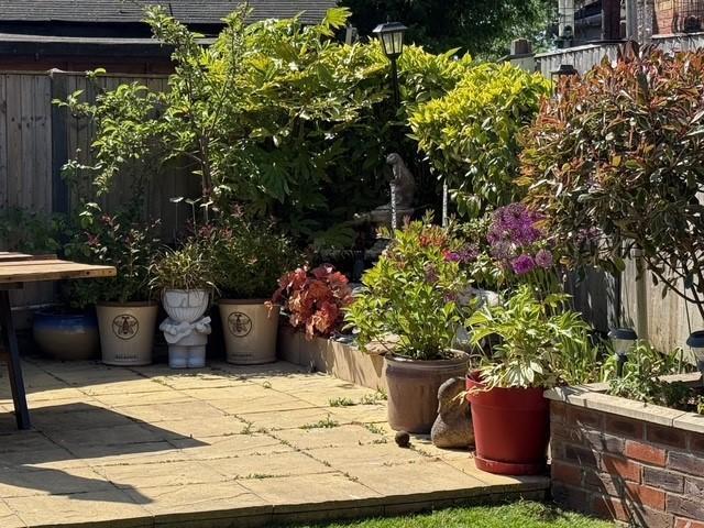 Rear Patio
