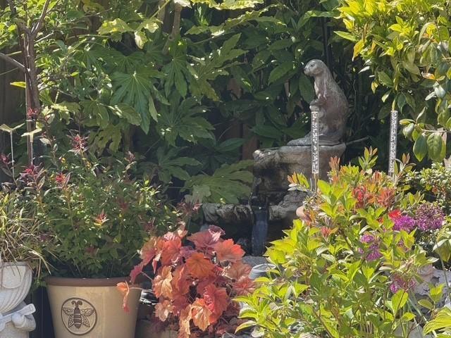 Water Feature