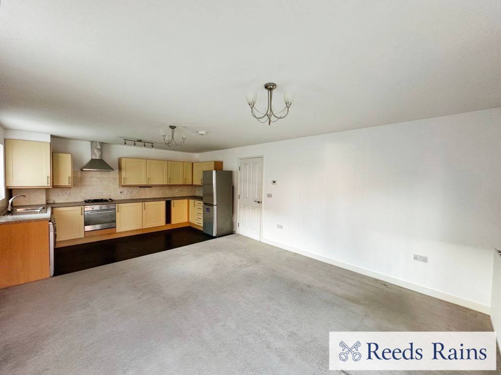 Kitchen/Living Area