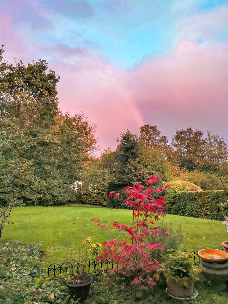Garden Views