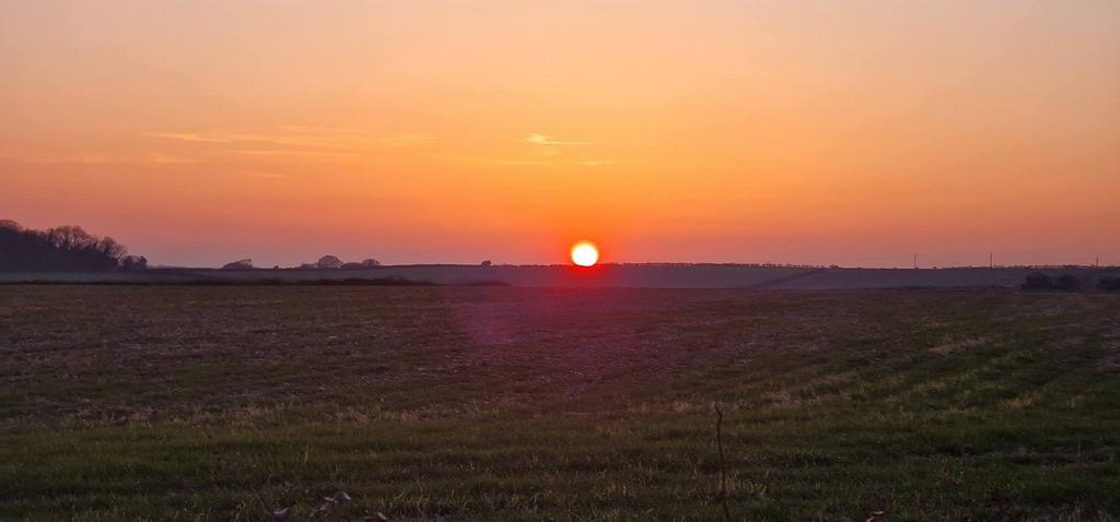 Distant Views