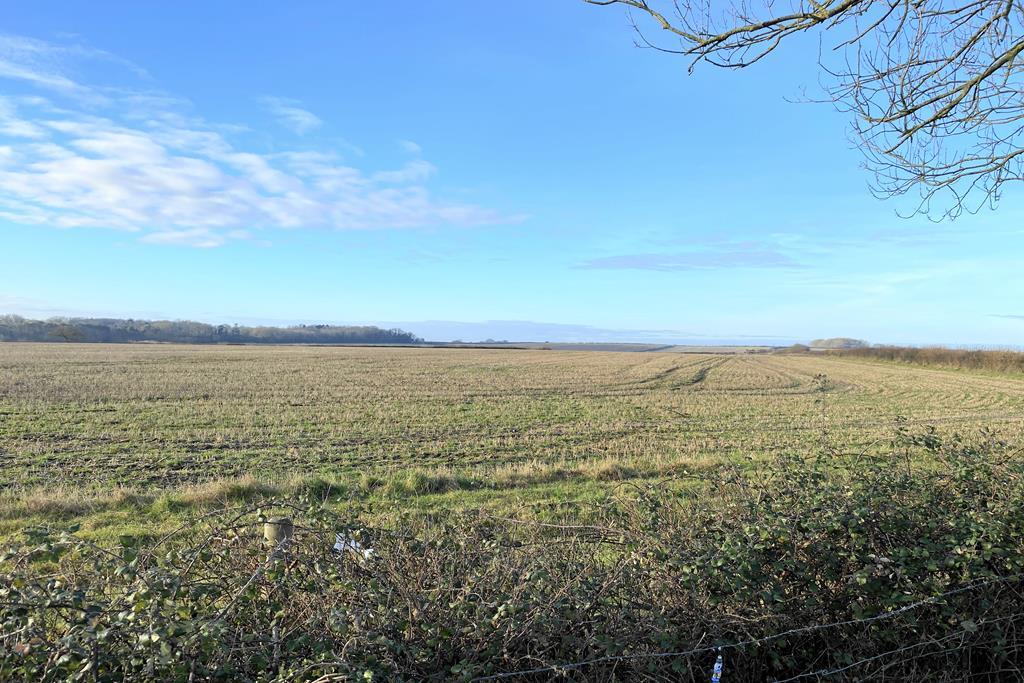 Field Views