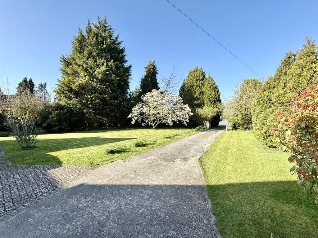 Front Garden New.jpg