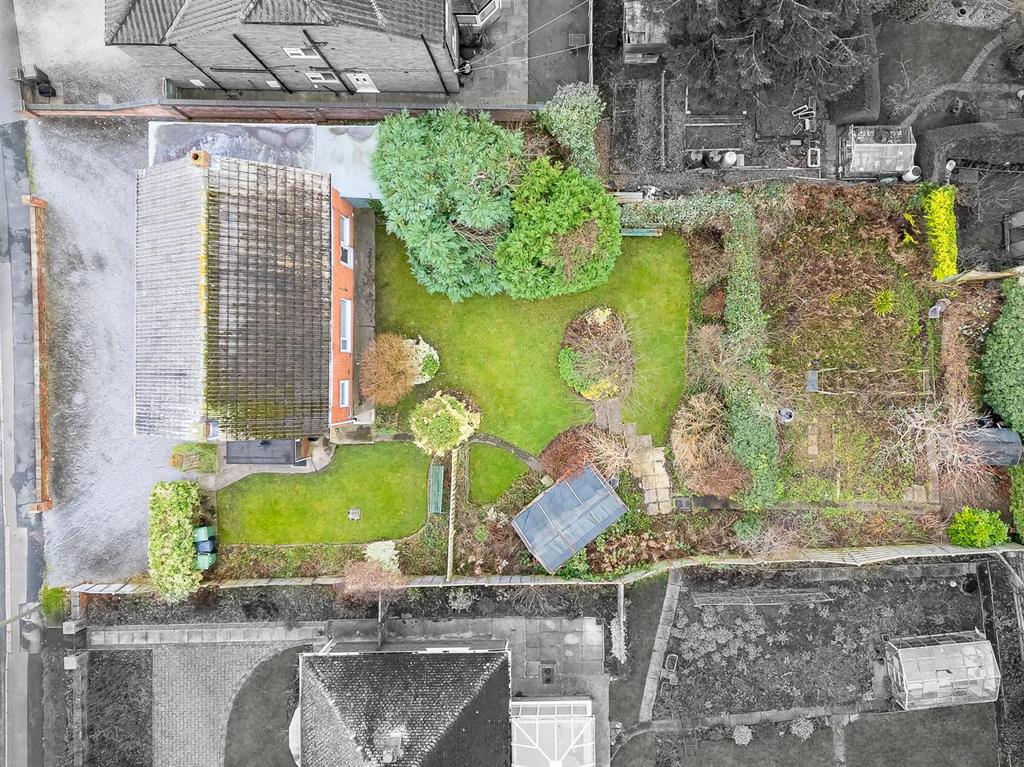 Birds eye