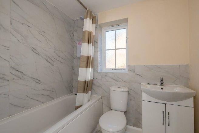 Chervil-close-m14-7dp-963874