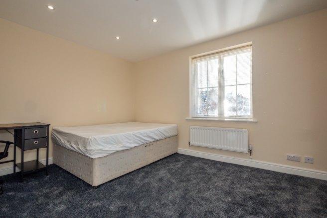 Chervil-close-m14-7dp-963875