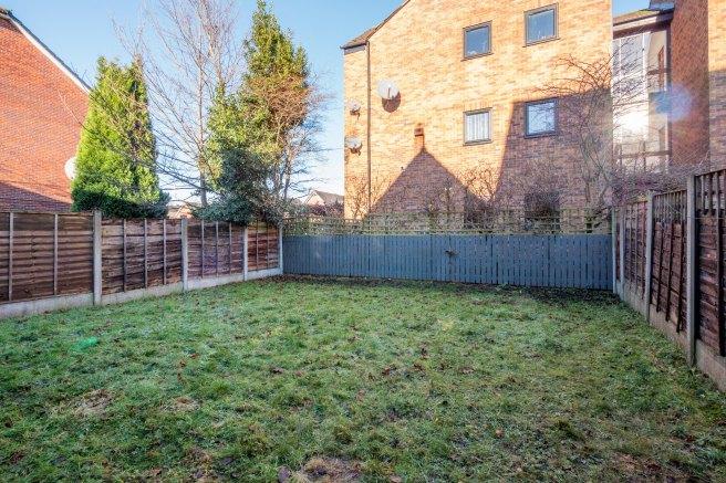 Chervil-close-m14-7dp-963881