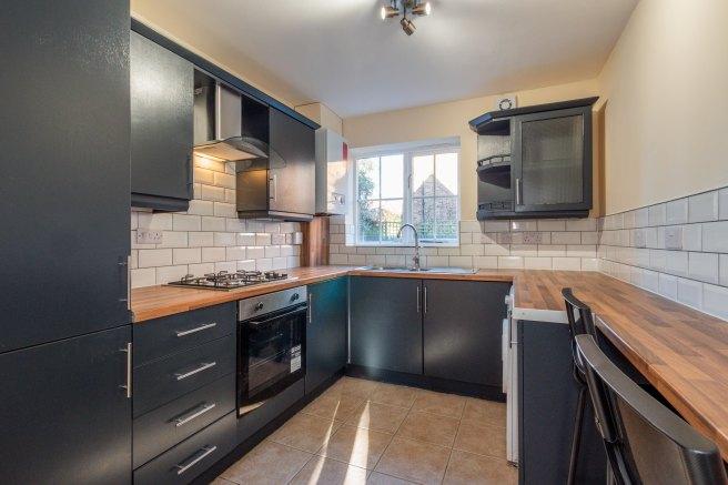 Chervil-close-m14-7dp-963867