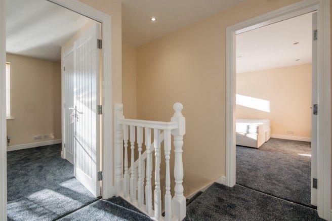 Chervil-close-m14-7dp-963869