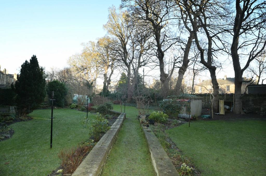 MFL6247961 515.jpg