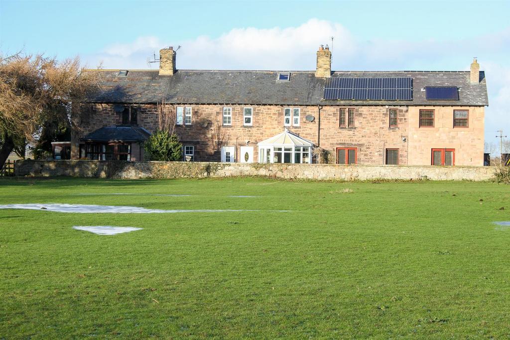 IMG 9779.jpg