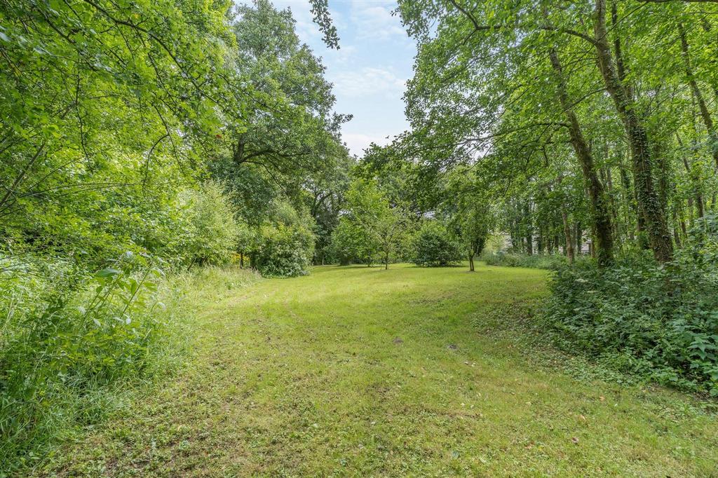The Grounds