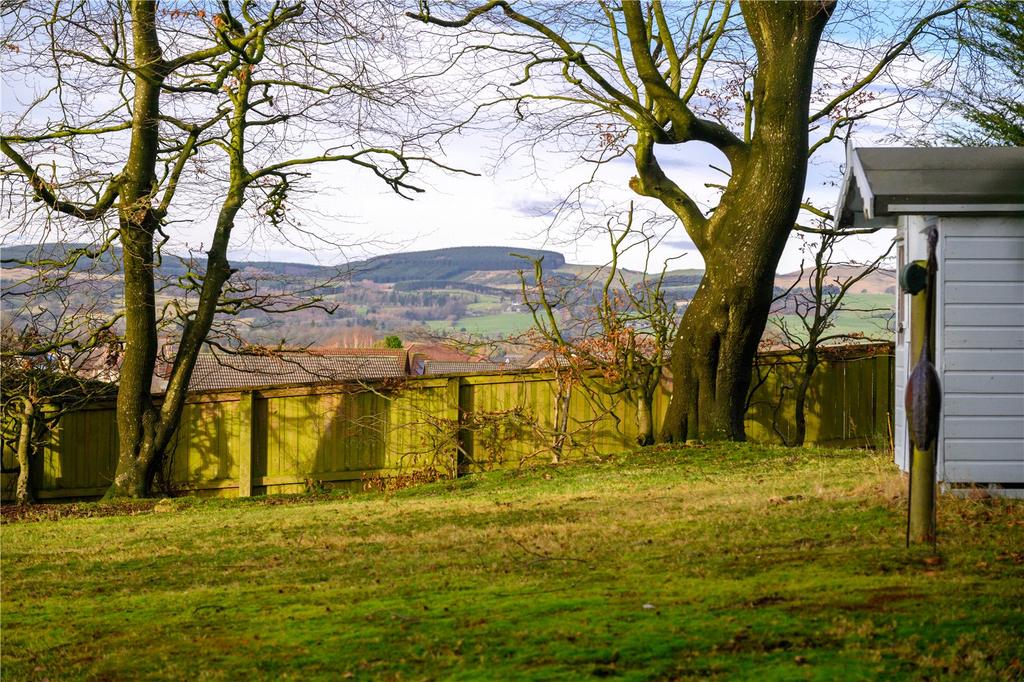 Countryside Views