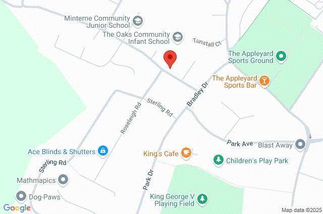 Google Maps Image