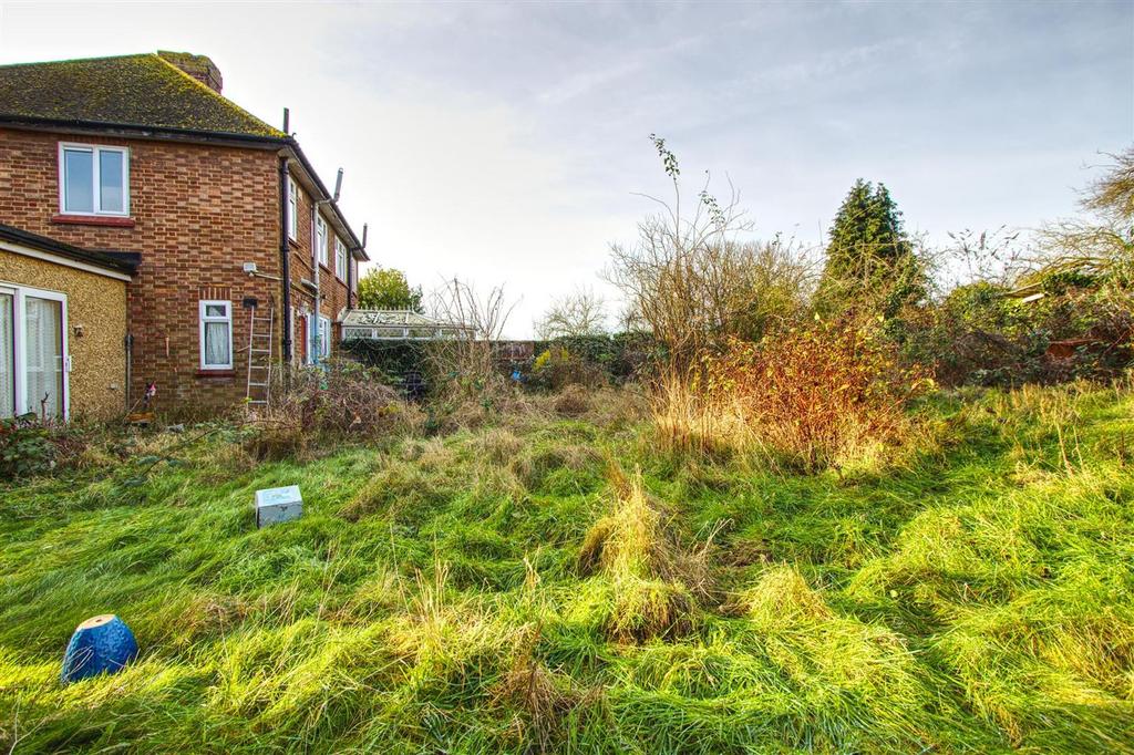 Garden 3.jpg