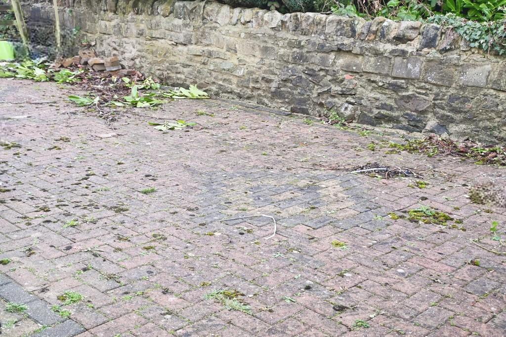Back yard