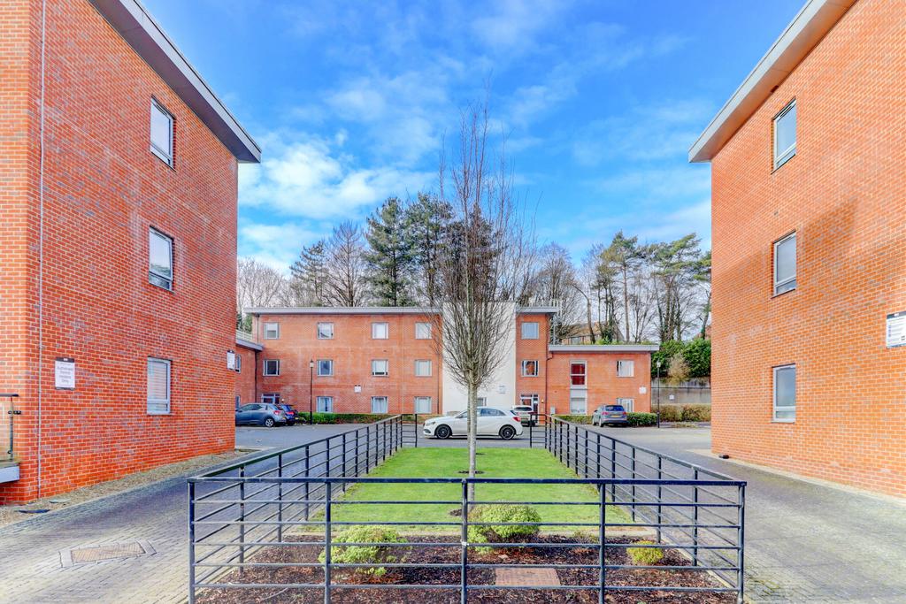 Picture No. 40