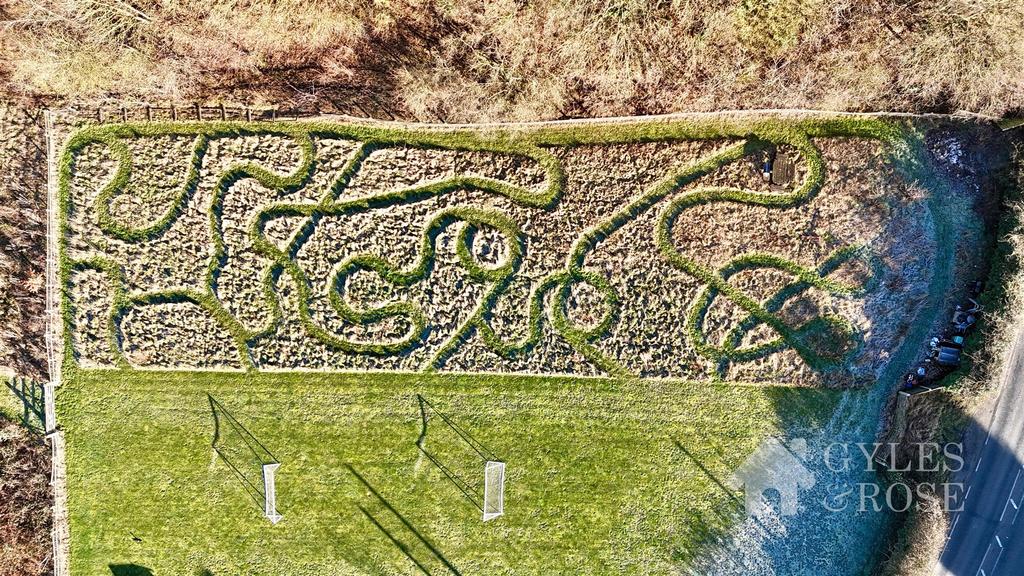Field/Garden