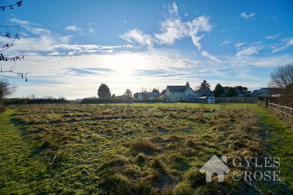 Field/Garden