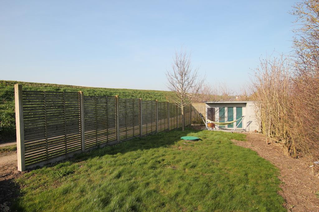 Garden.JPG