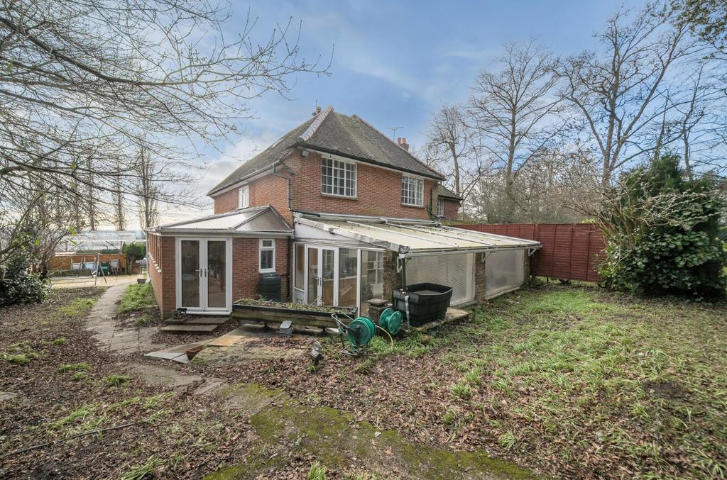 1231317 (10).jpg