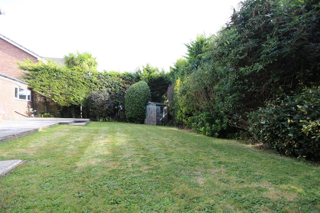 5 ash close (19).jpg