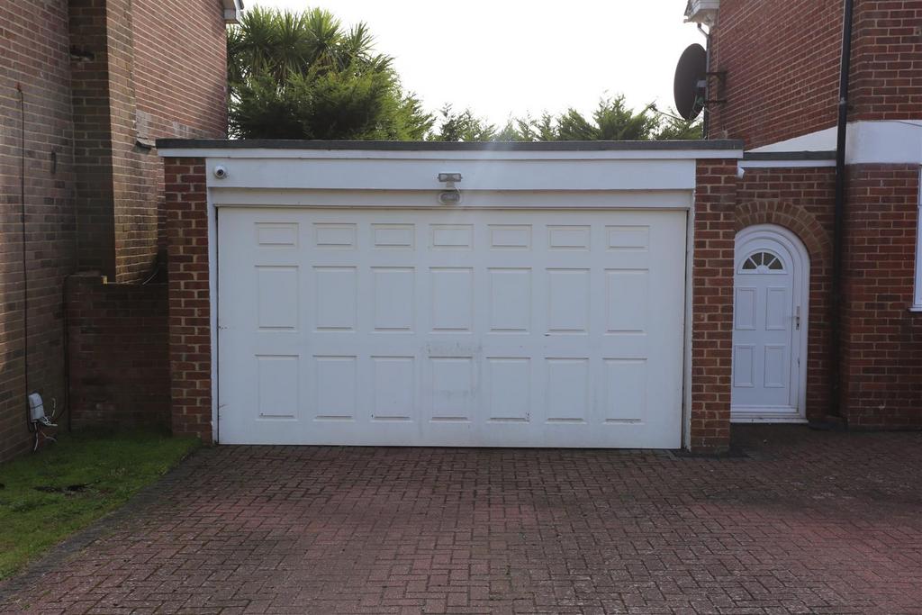 5 ash close (8).jpg