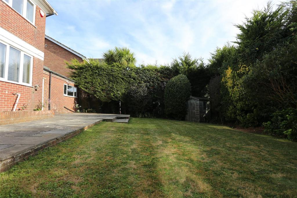 5 ash close (20).jpg