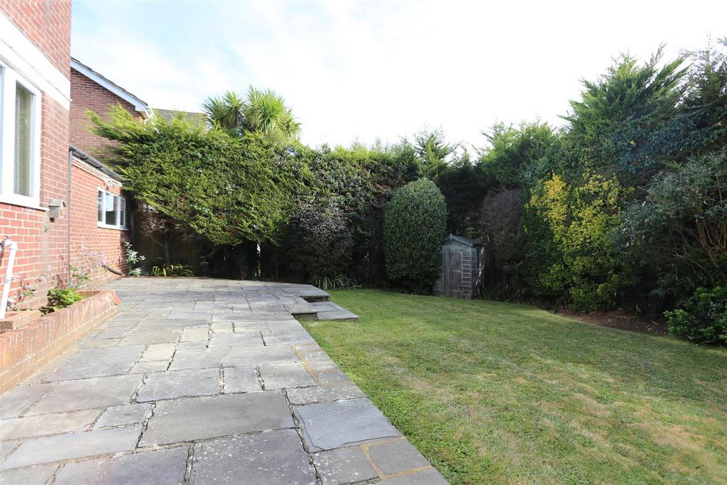 5 ash close (17).jpg