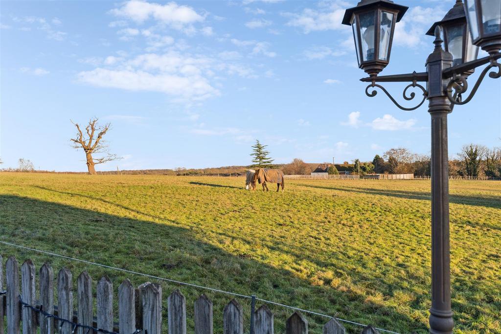 Countryside Views