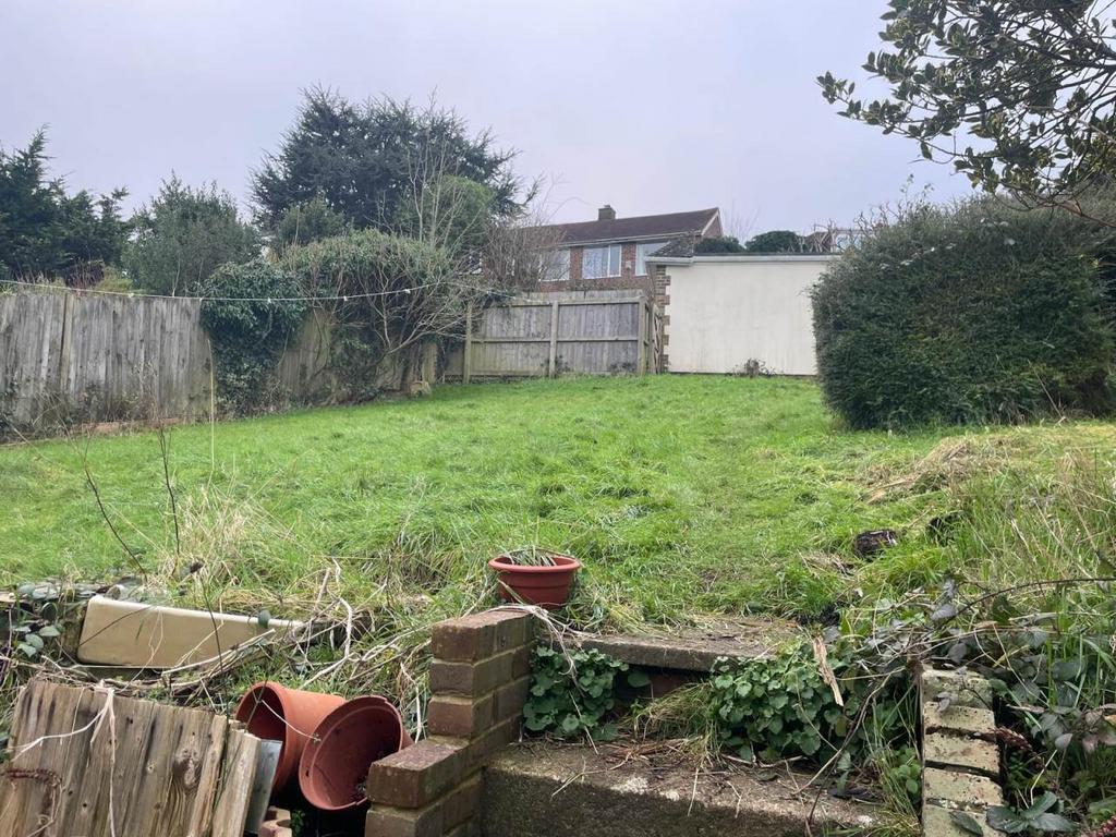 Rear garden 2