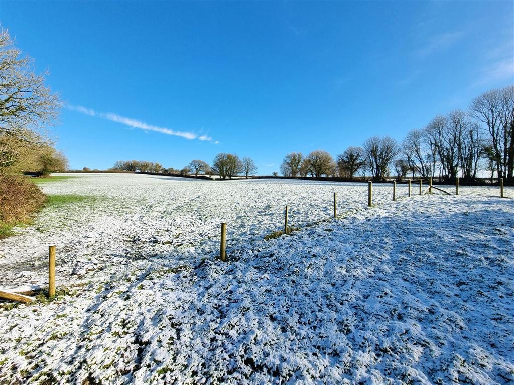 Field View.jpg