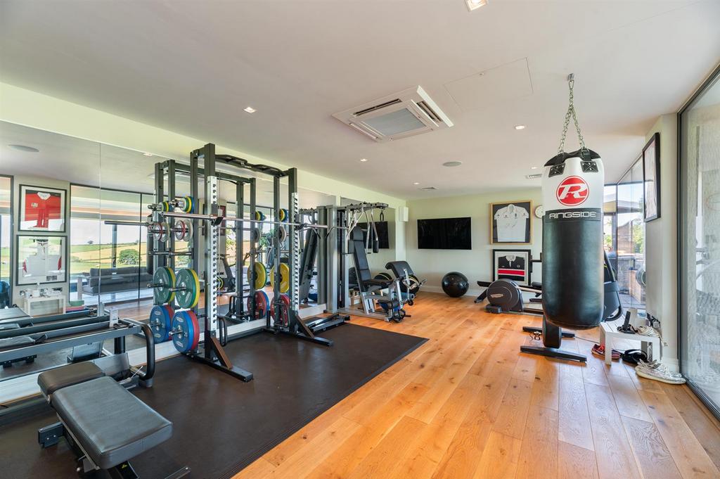 Leisure Suite