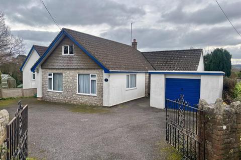 3 bedroom detached bungalow to rent, Whitehayes Close, Kilmington EX13