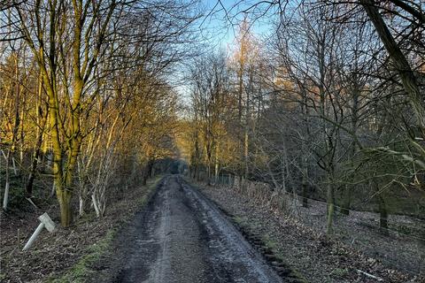 Land for sale, Ripley Estate Woodland, Ripley, Near Harrogate, North Yorkshire, HG3