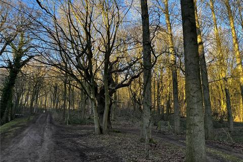 Land for sale, Ripley Estate Woodland, Ripley, Near Harrogate, North Yorkshire, HG3