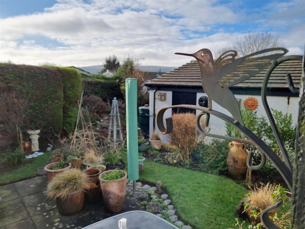 Garden Bird.jpg