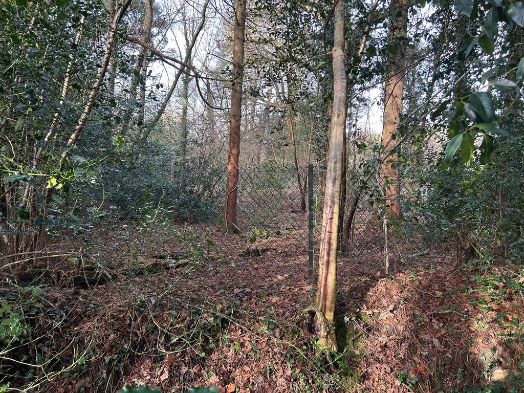 Image 3 jpg