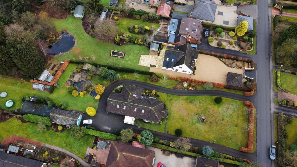 Dji fly 20250131 111010 885 1738322085169 photo op