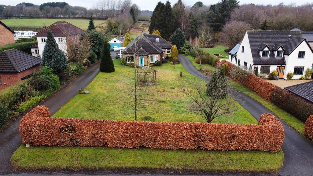 Dji fly 20250131 110812 881 1738322102781 photo op