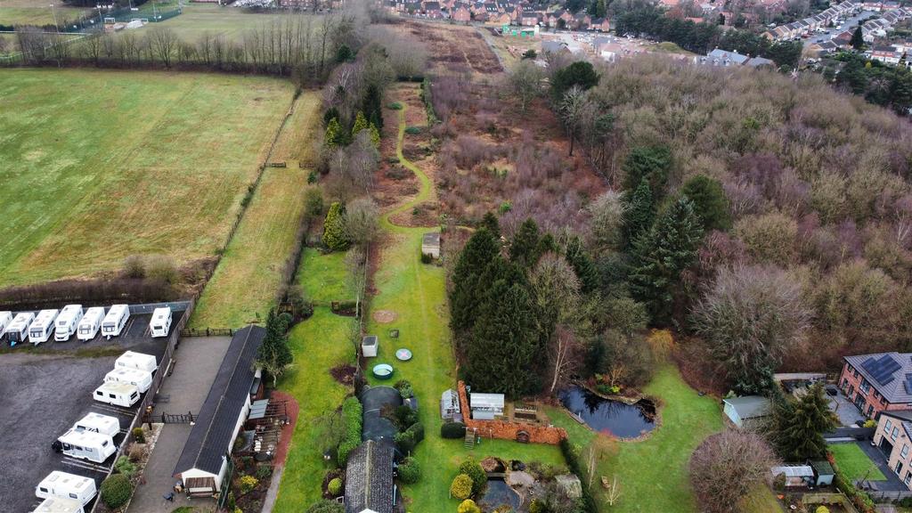 Dji fly 20250131 110906 883 1738322094096 photo op