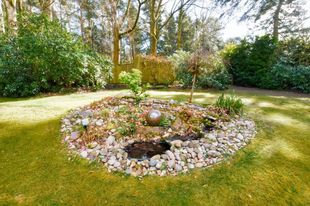 Water Feature