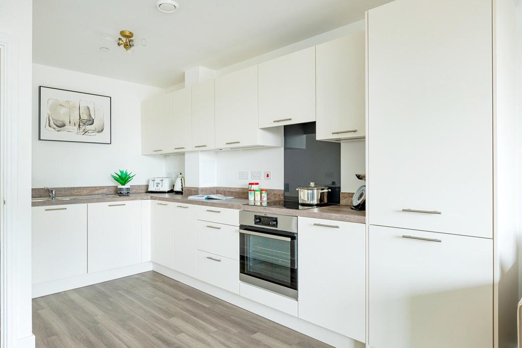 Modern kitchen with energy efficient appliances